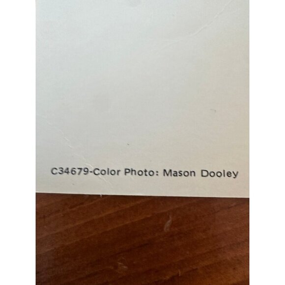 Vintage Butterfly Wings Camellia Postcard – Descanso Gardens, La Cañada Flintrid - Picture 7 of 10